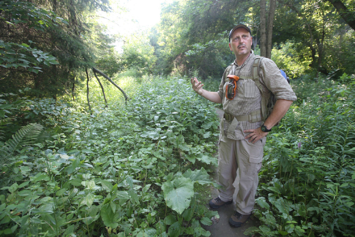 Instructor David Arama, leading a course in wild edibles.

 Vince Talotta/Toronto Star